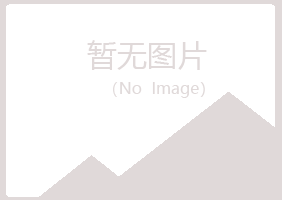 白银平川山柳造纸有限公司